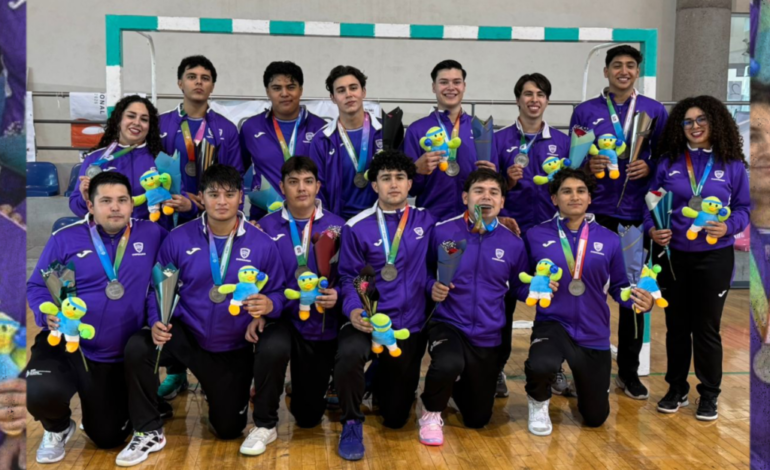Plata y bronce en handball